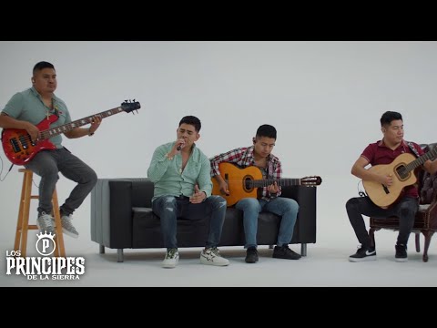 Los Principes De La sierra - Amor Limosnero (Video Oficial)