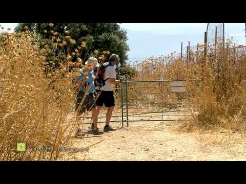 Gran Senda de Mlaga. GR 249.6. Variante Etapa 1. Ronda (La Indiana) - Montejaque