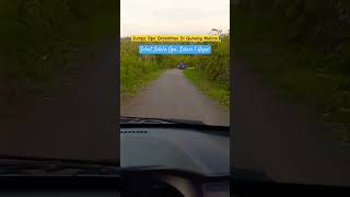 Download lagu Supercab - Grandmax #pickup #dfsk #supercab #daihatsu #granmaxpickup #mountains mp3 Download lagu Supercab - Grandmax #pickup #dfsk #supercab #daihatsu #granmaxpickup #mountains mp3