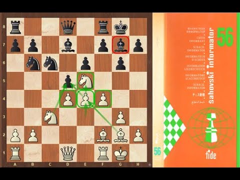 The Best of Chess Informant 56 / Anatoly Karpov vs Gata Kamsky, Alekhine Memorial 1992