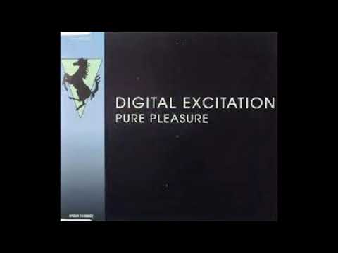 Digital Excitation - Pure Pleasure - 1991