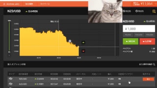 【FX】1万円から始める為替取引【BO】62