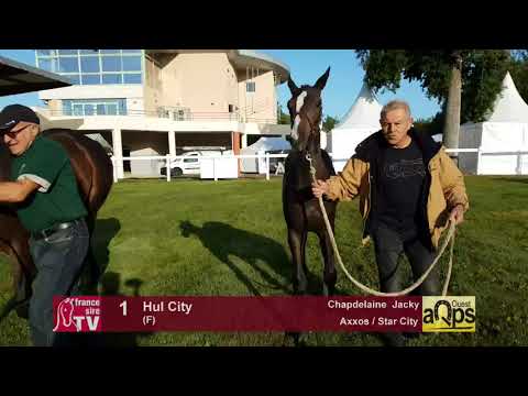 Show AQPS Lion 2017 : Lot 1 - Hul City