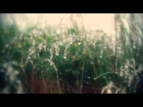 Indrevær, Solund 2013