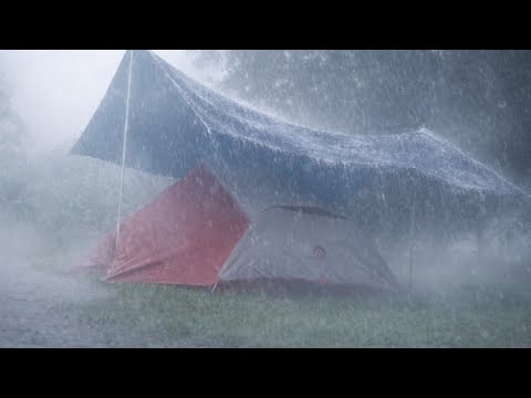 AMAZING‼️Solo Camping heavy Rain With Thunderstorm - Asmr