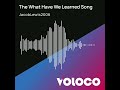 The What Have We Learned Song By Jacob Lewis