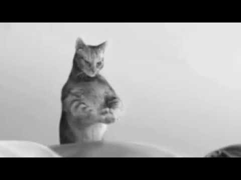 Best body massage ever