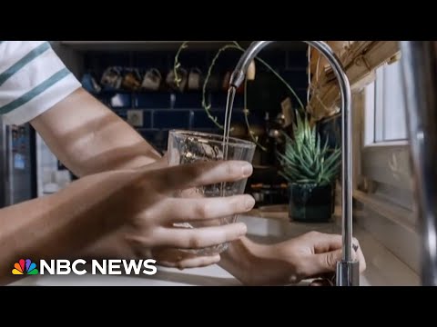 New study reveals no negative effects of fluoride on brain function