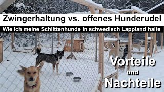 Zwingerhaltung vs. offenes Hunde-Rudel - Wie ich meine Schlittenhunde in schwedisch Lappland halte