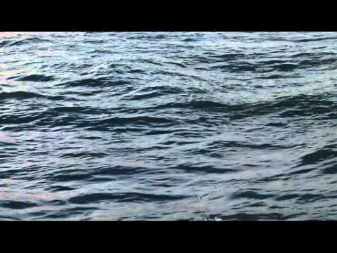 ~ Il mare calmo della sera ~Andrea Bocelli