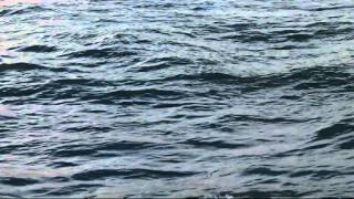 ~ Il mare calmo della sera ~Andrea Bocelli