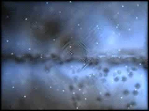 vozbcn.com - La Voz de Barcelona - Ferran carga contra el sector nacionalista del PSC