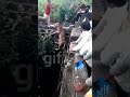 The Forest Workers Gave Up The Strike To Rescued The Asiatic Lion That Had Fallen Into The Well