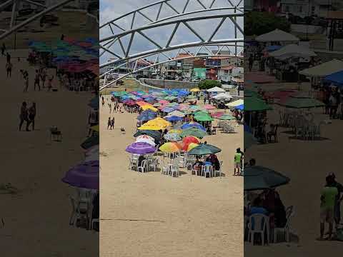 Cidade de traipu Alagoas as margens do Rio São Francisco  ERIEL OFICIAL  🎥  18/01/2026