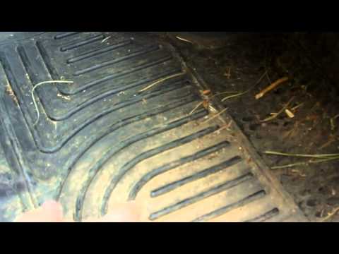 Husky Liners Weather Beater Floor Mat Update