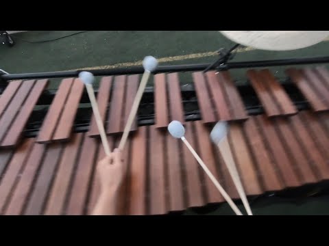 Mandarins 2023 Marimba Cam - Caspar Borggreve
