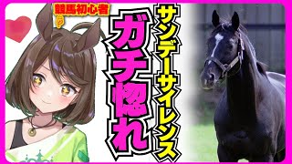 競馬初心者、サンデーサイレンスに惚れる