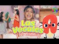 Canción Las Vocales Y Las Muñecas 🫸🫷 FUENTES KIDS 🩷 Para Niños