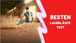 Die Besten Metalldetektoren Test - (Top 5)