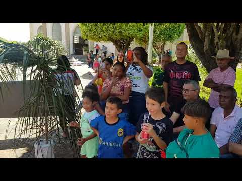 Companhia de Reis Família de Belém- Encontro de Bandeiras em Aparecida D' Oeste-SP...