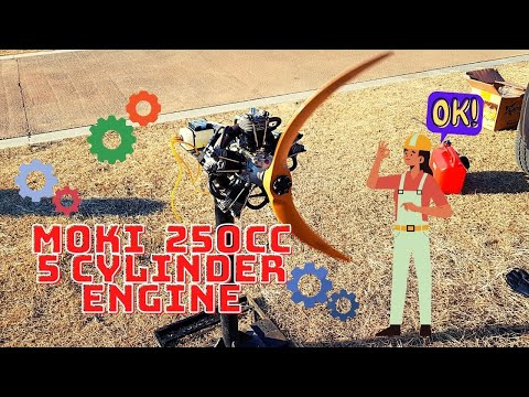 MOKI 250cc 5 CYLINDER RADIAL ENGINE TEST RUN