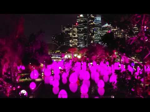 GARDEN BY THE BAY | MEMORIES | RYO YOSHIMATA