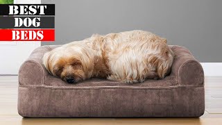 The Best Dog Beds 2025