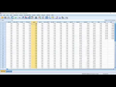 SPSS, cohen kappa analizi