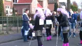 preview picture of video 'Optocht Dun Birrekoal 2014; Carnavalsoptocht van de gemeente Berlicum'