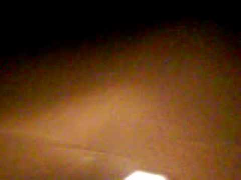 Bear Creek Swamp Video 1