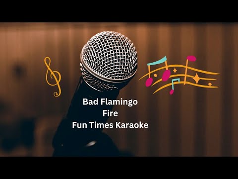 Bad Flamingo - Fire [Karaoke] [Instrumental Lyrics] | Fun Times Karaoke