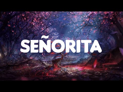 Señorita - Shawn Mendes (Lyrics) | Ed Sheeran, One Direction, Ali Gatie,... (MIX LYRICS)