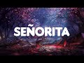 Señorita Shawn Mendes Lyrics Ed Sheeran One Direction Ali Gatie MIX LYRICS
