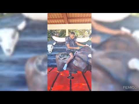 Recuerdos, disfrutando del toro mecánico en el parque todo por uno en baradero