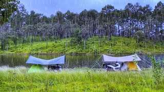 Camping by the Water in Wind and Rain | Unexpected New Friends
