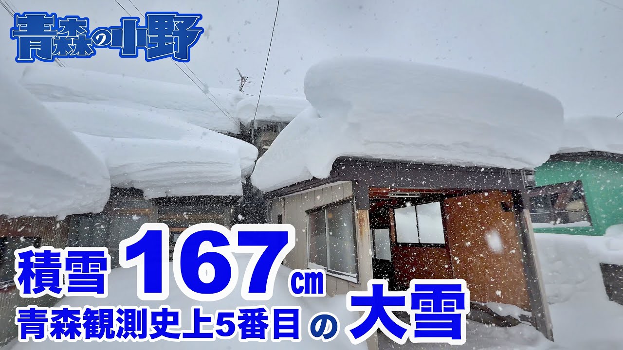青森雪ヤバイ。古民家の雪