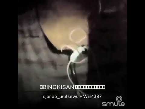 Smule djonoo urutsewu bingkisan rindu