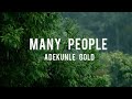 Adekunle Gold - Many People (lyrics)
