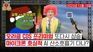 오라클 CDS 프리미엄 또다시 상승ㅣ마이크론 호실적 AI 산소호흡기 다나?