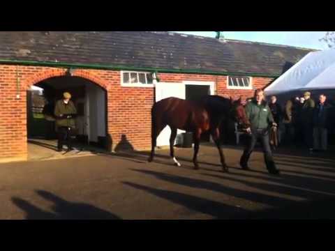 Lanwades Stallion Parade