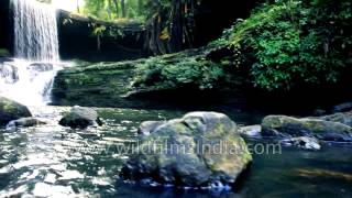 Welcome to Mizoram: songs of the mountains