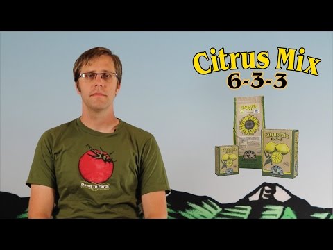 video_thumbnail2