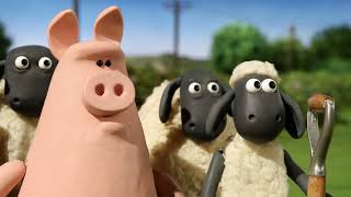 Pigs in trouble Again! 🐑 Shaun the Sheep 🐑 - Cartoons for Kids 🐑 Full Episodes Compilation [1 hour]