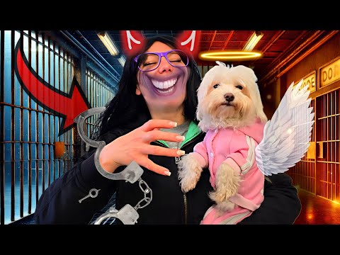 The Lost Puppy Story - Letitia's Escape S2 Ep 1