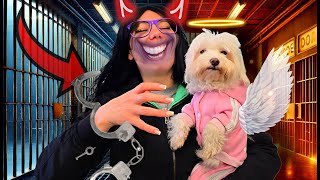 Povestea catelusului Pierdut - Evadarea Letitiei S2 Ep 1