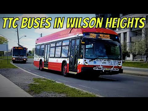 Subway Shuttles & More | TTC Buses in Wilson Heights (May 2021)