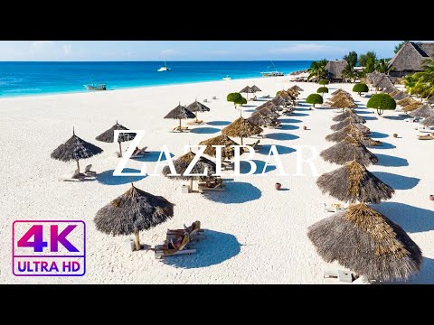 잔지바르(Zanzibar)의 아름다운 정경들과 음악