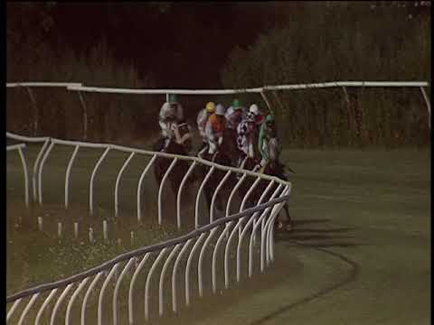 Galoppo 21/08/2019 - 5ª corsa