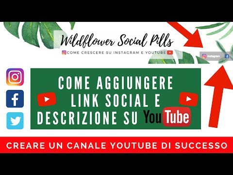 Come migliorare la potenza del massaggio Come utilizzare il massaggio per aumentare il pene