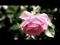 Розовый вальс... Ф.Легар Вальс из оперетты «Веселая вдова» - F. Lehár 